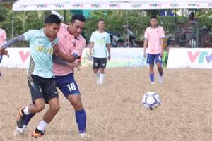 La compétition attire un grand nombre d’équipes d’agriculteurs. Photo : nhandan.vn