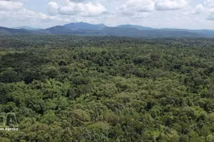 La Réserve naturelle d’Ea So, dans la province de Dak Lak. Photo : VNA.