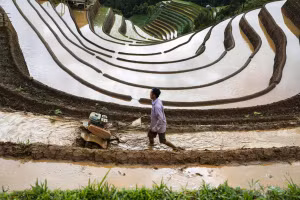 [Photos] Les rizières en terrasses de Mu Cang Chai. Photo: vnexpress.net