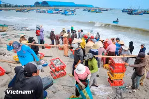 Le port de pêche de Vinh Tan.