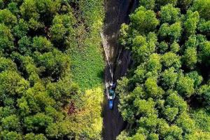 Photo: vnexpress.net