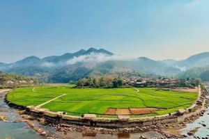 Les rizières du village de Na Su, commune de Muong Cha, un attrait majeur pour les visiteurs de ce site de tourisme communautaire. Photo : baovanhoa.vn