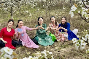 Le site Géoparc mondial UNESCO du plateau karstique de Dong Van, dans la province de Tuyen Quang. Photo : nhandan.vn