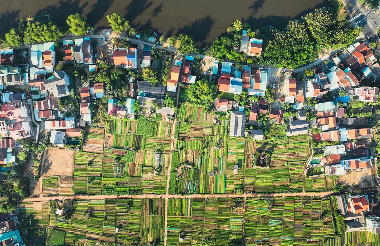 Le village maraîcher de Tra Que vu d’en haut. Photo : VnExpress.