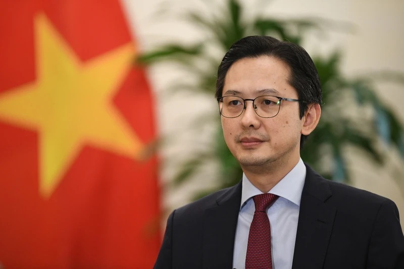 Le vice-ministre des Affaires étrangères, Do Hung Viet. Photo : Mofa.
