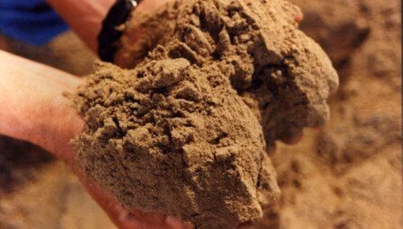 Le Vietnam est le deuxième plus grand fournisseur de farine de poisson de la Chine. Photo : congthuong