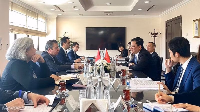 Le vice-ministre vietnamien des AE, Pham Quang Hiêu, et son homologue turc coprésident la 4e consultation politique au niveau des vice-ministres des AE des deux pays. Photo : baoquocte. 