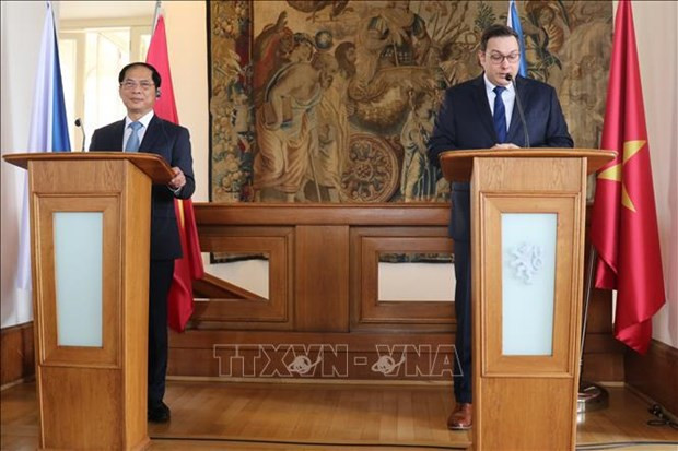 Le ministre vietnamien des Affaires étrangères, Bùi Thanh Son (à gauche), et son homologue tchèque, Jan Lipavsky, rencontrent la presse à l’issue de leur entretien. Photo : VNA.