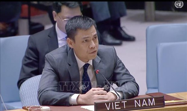 L'ambassadeur Dang Hoàng Giang, chef de la Mission permanente du Vietnam auprès de l'ONU. Photo : VNA.