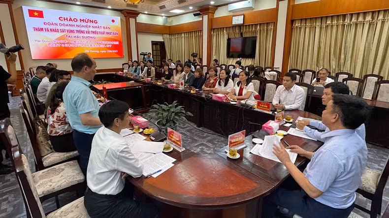 Séance de travail entre le comité populaire de Hai Duong et la délégation japonaise. Photo : NDEL.