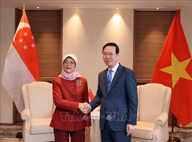 Le Président vietnamien, Vo Van Thuong, et son homologue singapourienne, Halimah Yacob. Photo : VNA.