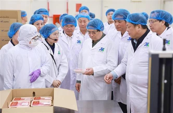 Le Premier ministre Pham Minh Chinh visite l'usine de transformation de bœuf de Tam Dao. Photo : VNA. 