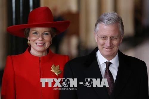 Le roi Philippe et la reine Mathilde de Belgique. Photo : VNA 