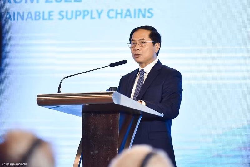 Le ministre vietnamien des Affaires étrangères, Bùi Thanh Son. Photo : Baoquocte.