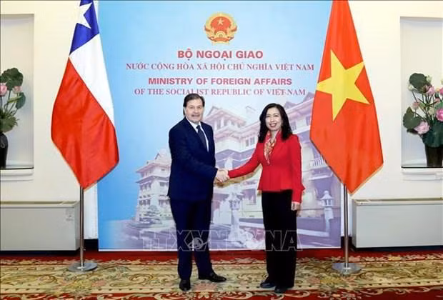 Le Secrétaire général de la politique étrangère du ministère des Affaires étrangères du Chili, Alex Wetzig Abdale, et l’assistante du ministre vietnamien des Affaires étrangères, Lê Thi Thu Hang. Photo : VNA. Le Secrétaire général de la politique étrangère du ministère des Affaires étrangères du Chili, Alex Wetzig Abdale, et l’assistante du ministre vietnamien des Affaires étrangères, Lê Thi Thu Hang. Photo : VNA.