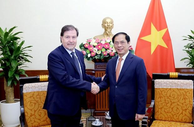Le ministre des Affaires étrangères, Bui Thanh Son (à droite), et le Secrétaire général de la politique étrangère du ministère des Affaires étrangères du Chili, Alex Wetzig Abdale. Photo : VNA.