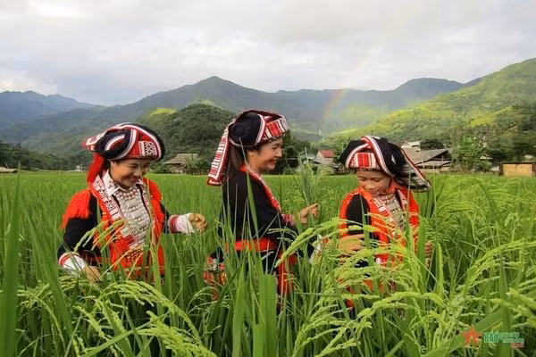 Des femmes de l'ethnie des Dao do. Photo : qdnd.vn