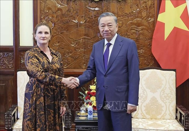 Le président Tô Lâm serre la main de l’ambassadrice de Nouvelle-Zélande au Vietnam, Caroline Beresford, à Hanoi, le 4 juillet. Photo : VNA.