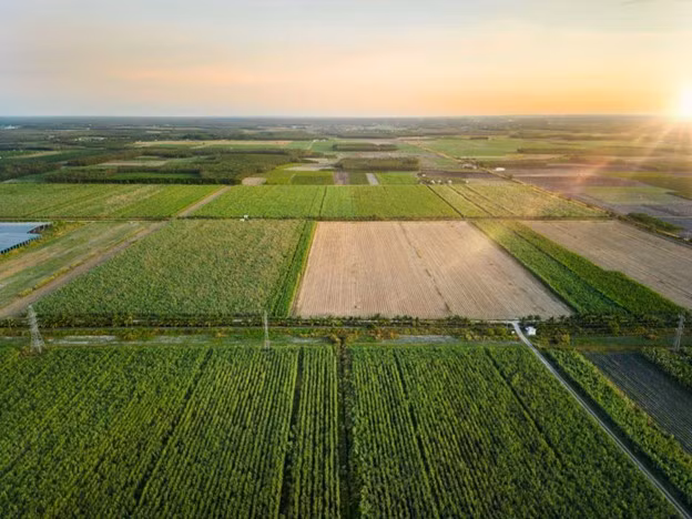 TTC AgriS est actuellement le leader national en termes de superficie de terres agricoles transfrontalières, avec plus de 71 000 hectares au Vietnam, au Laos, au Cambodge et en Australie.