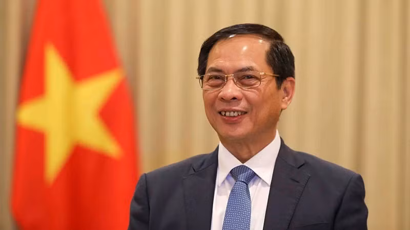 Le vice-Premier ministre et ministre des Affaires étrangères, Bui Thanh Son. Photo: ministère des Affaires étrangères