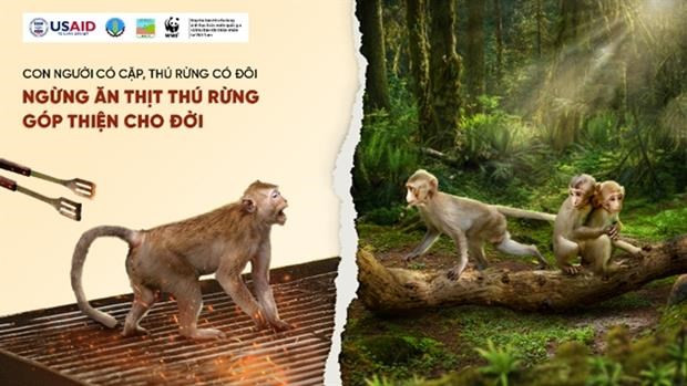 Une affiche de la campagne de réduction de la demande en viande sauvage lancée le 15 mars. (Photo fournie par USAID Biodiversity Conservation)