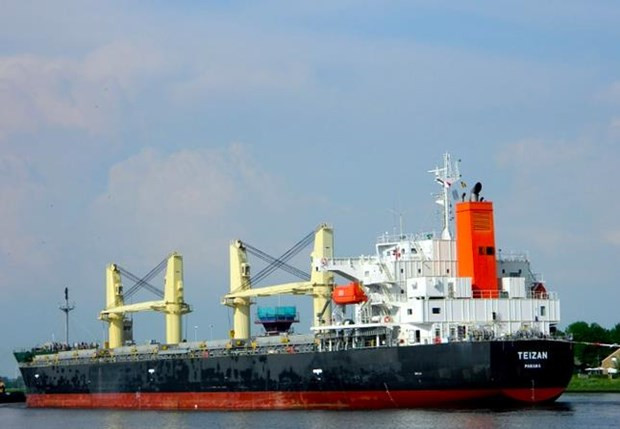 L'ambassade du Vietnam en Egypte et à Djibouti a confirmé le 7 mars la mort d'un Vietnamien dans une attaque des Houthis contre le navire commercial True Confidence, battant pavillon de la Barbade, dans le golfe d'Aden au Yémen en Mer Rouge. Photo : vesseltracker