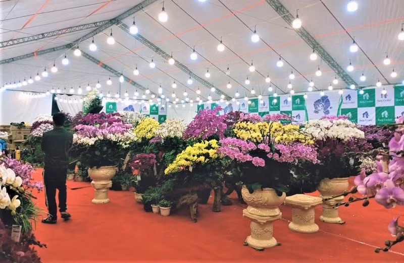 Photo : Minh Minh/NDEL. Photo : Minh Minh/NDEL.