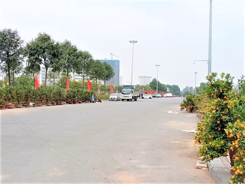 Photo : Minh Minh/NDEL. Photo : Minh Minh/NDEL.