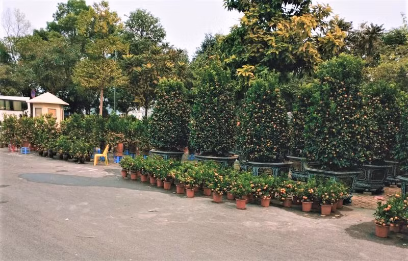 Photo : Minh Minh/NDEL. Photo : Minh Minh/NDEL.