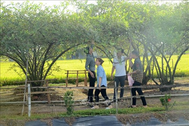 Site touristique de Go Dong Cong à Tien Giang. Photo : VNA