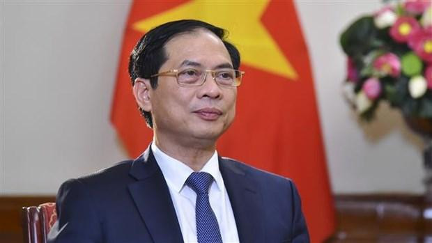 Le ministre des Affaires étrangères Bui Thanh Son. Photo: VNA 