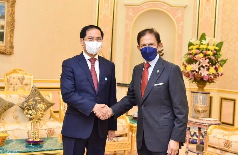 Le sultan Haji Hassanal Bolkiah (à droite) recevant le ministre vietnamien des Affaires étrangères Bui Thanh Son, le 7 septembre. Photo : VNA 