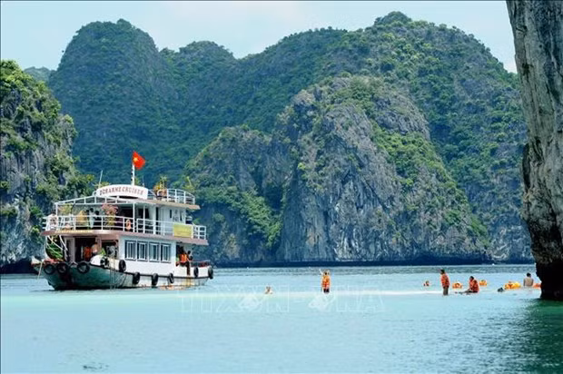 Pour faire de la baie d'Ha Long une destination verdoyante, propre et magnifique. Photo : VNA.