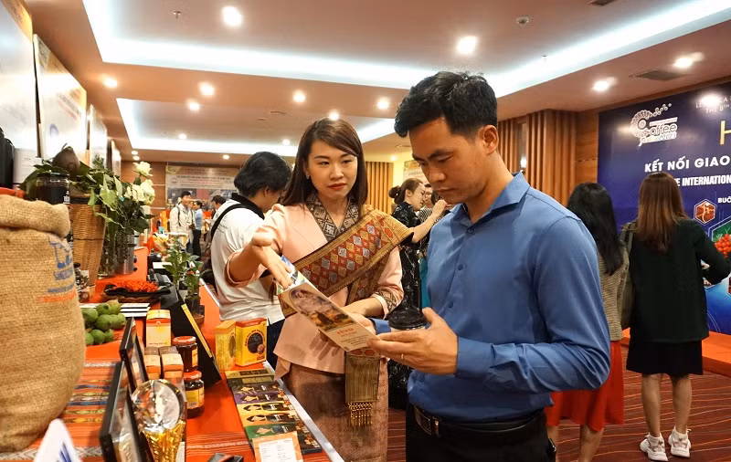 Des représentants d’entreprises visitant des stands d’exposition présentant des produits de café. Photo : baodaklak.