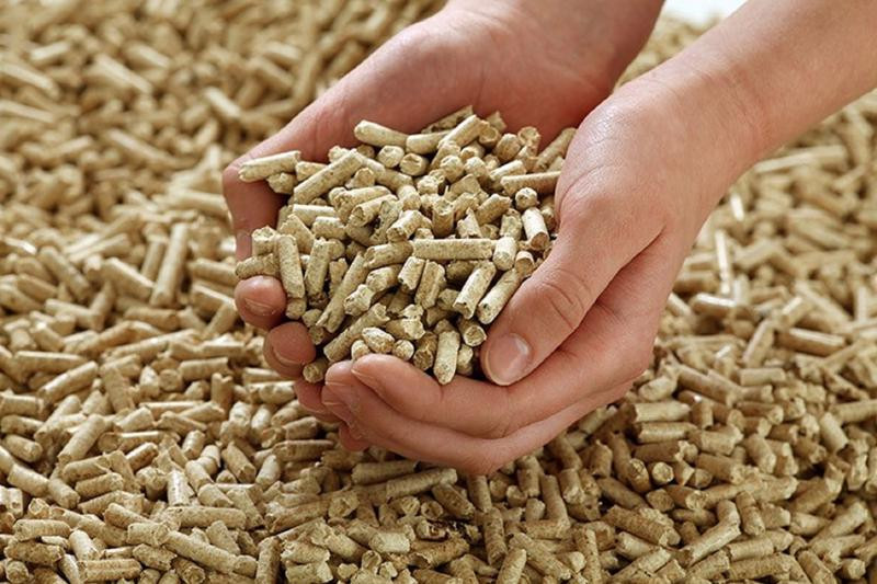 Les exportations de copeaux et de granulés de bois vers le Japon ont connu une augmentation. Photo : VnEconomy.