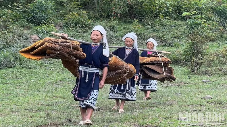 Des femmes transportent la cire d’abeille au village.