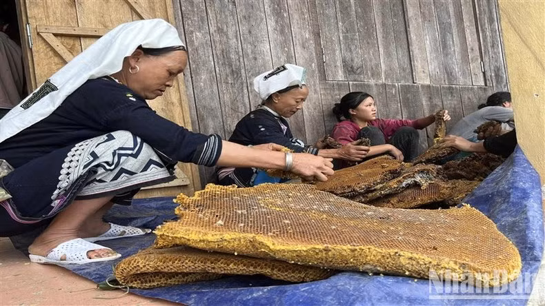 Les nids sont découpés avant leur transformation.