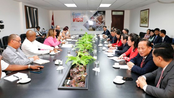 La délégation de Hô Chi Minh-Ville travaille avec le ministère de la Santé de Cuba. Photo : SGGP.