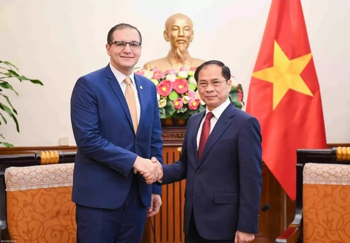 Le vice-Premier ministre et ministre des Affaires étrangères Bui Thanh Son a reçu M. Christopher Cutajar, secrétaire d'État permanent du ministère des Affaires étrangères et du Tourisme de la République de Malte. Photo : baoquocte.vn