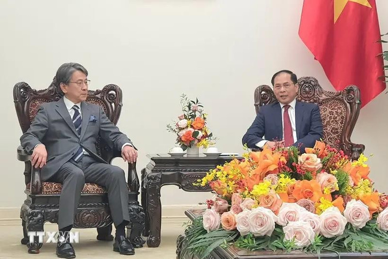 Le vice-Premier ministre et ministre des Affaires étrangères Bui Thanh Son (droite) reçoit le président du conseil d'administration de la Banque japonaise pour la coopération internationale (JBIC), Maeda Tadashi. Photo : VNA.