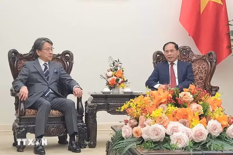 Le vice-Premier ministre et ministre des Affaires étrangères Bui Thanh Son (droite) reçoit le président du conseil d'administration de la Banque japonaise pour la coopération internationale (JBIC), Maeda Tadashi. Photo : VNA.