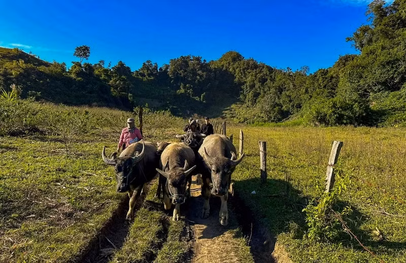 Les deux voyageurs ont été guidés par leur hôte jusqu’à la grotte de Tau, à travers des champs en terrasses, des cultures de maïs et des enclos d’animaux.