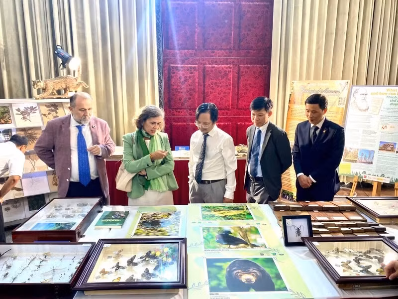 Organisée jusqu’au 25 octobre, cette exposition met en lumière le rôle crucial des forêts dans la lutte contre le changement climatique. Photo : Baoquocte.