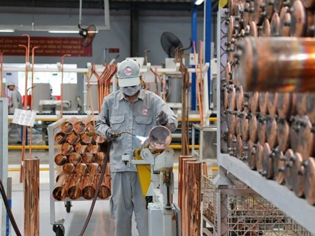 Une usine australienne de 46 millions de dollars entre en service à Binh Duong 