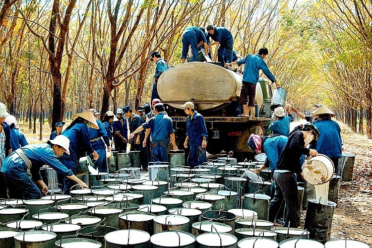 La Chine reste le plus grand marché de consommation de caoutchouc du Vietnam en 2022. Photo : congthuong.
