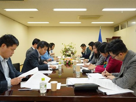 La vice-ministre Lê Thi Thu Hang préside un colloque réunissant des experts et intellectuels vietnamiens installés au Japon. Photo : VNA.