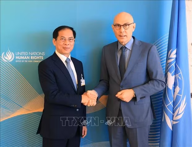 Le ministre des Affaires étrangères, Bùi Thanh Son (à gauche), et le Haut-Commissaire des Nations Unies aux droits de l'homme, Volker Turk. Photo : VNA.