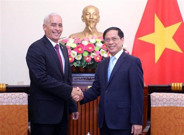 Le ministre des Affaires étrangères Bùi Thanh Son et le premier vice-ministre cubain des Affaires étrangères, Gerardo Peñalver Portal. Photo : VNA