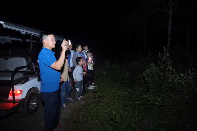 Les touristes sont enthousiasmés par la visite nocturne du parc national de Cuc Phuong.