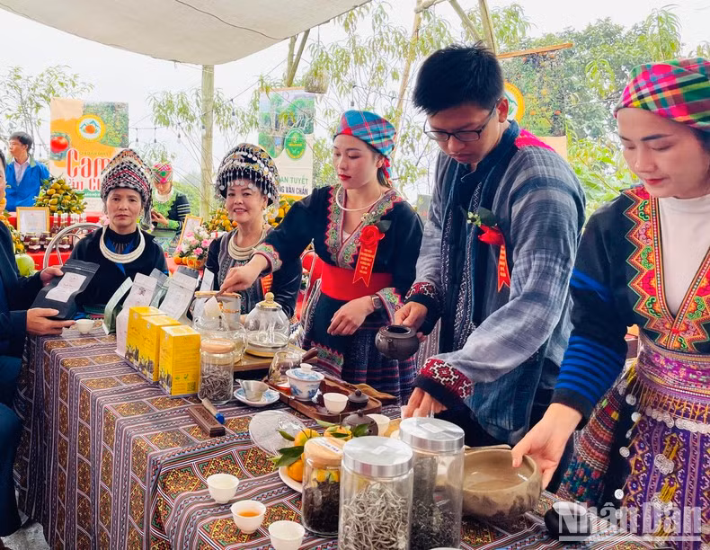 Préparation du thé Shan Tuyêt pour servir les touristes dans la commune de Suôi Giàng (district de Van Chân).